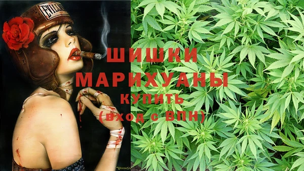 apvp Осинники
